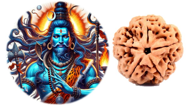 5 Mukhi Rudraksha EkNazarDeals.