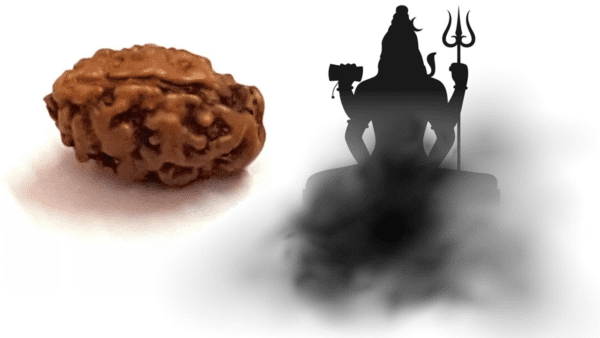 Ek Mukhi Rudraksha EkNazarDeals