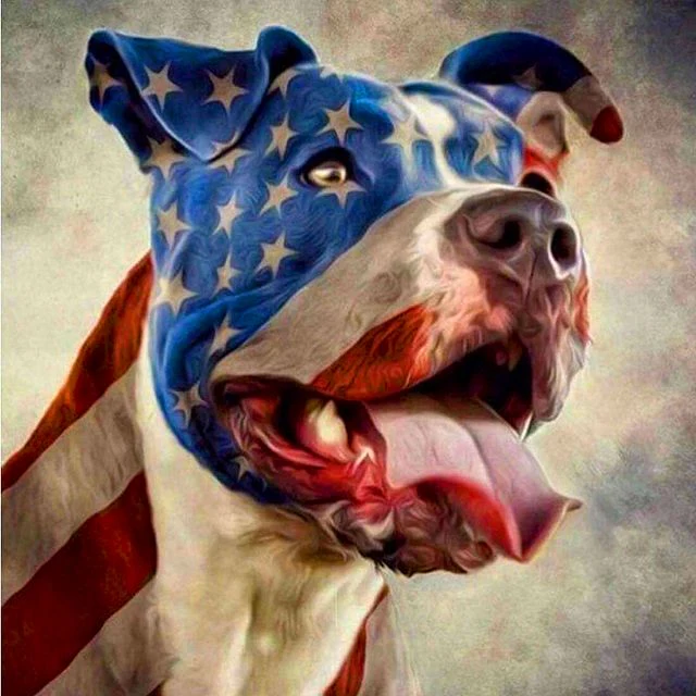 Beyond the brush – a powerful paint by numbers journey for art lovers 2025 | top deals 2025 – eknazardeals 🇺🇸🐶 American Pitbull – Paint by Numbers EkNazarDeals